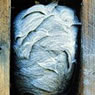 nests